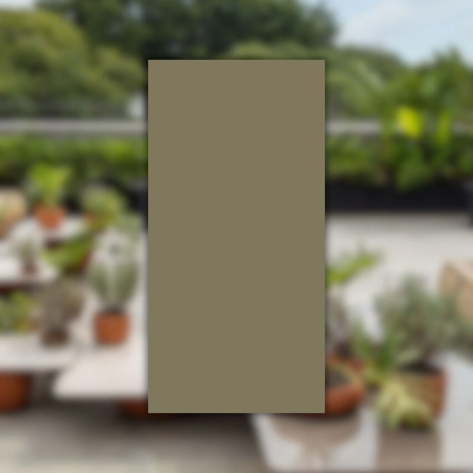 Porcelanato Decortiles Puro15 80x160 Oliva Polido RET "A"