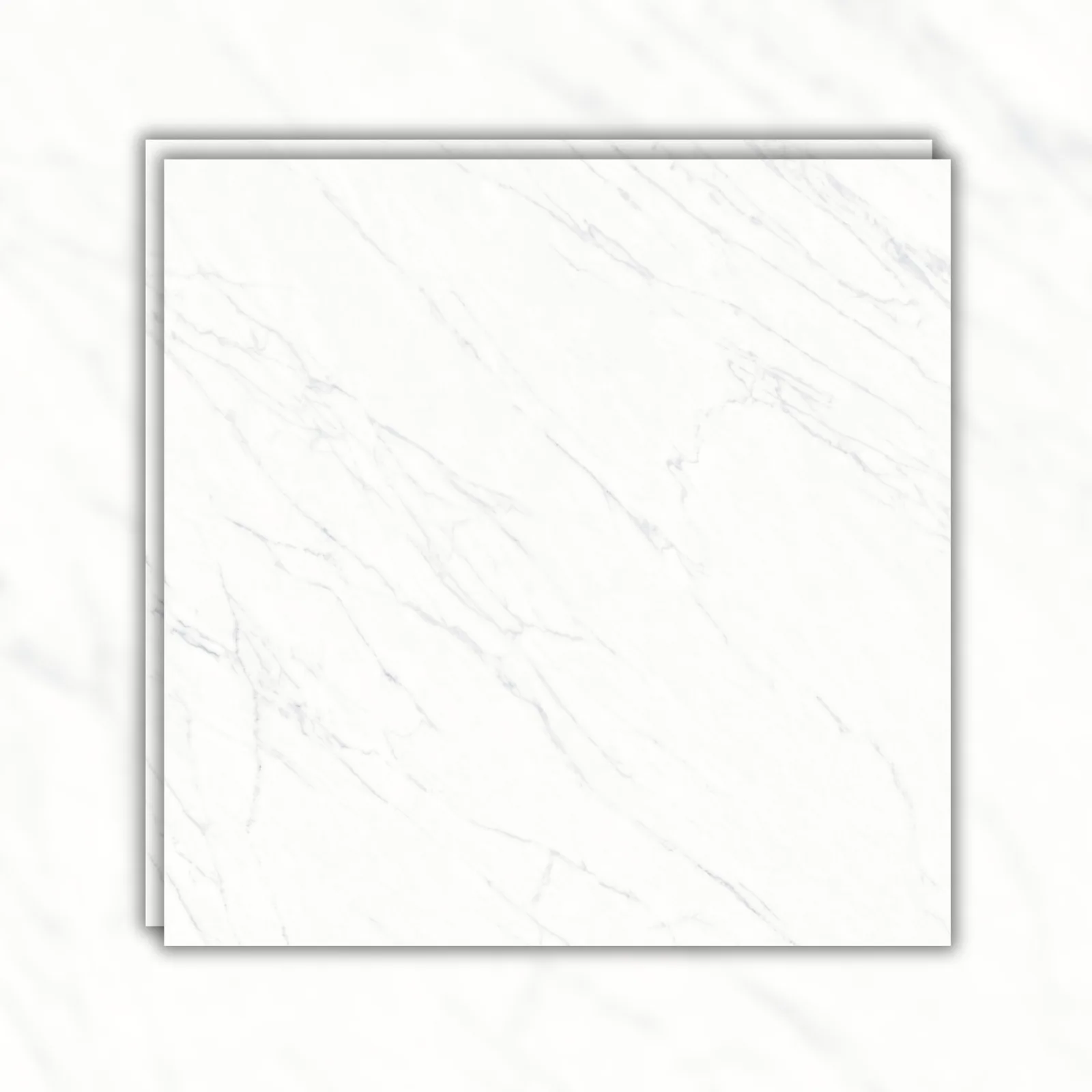 Porcelanato Roca Alpe 160x160 Polido RET "A"