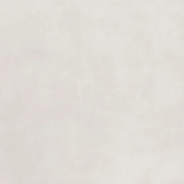 Porcelanato Branco Eliane Munari Branco Acetinado 59x118,2