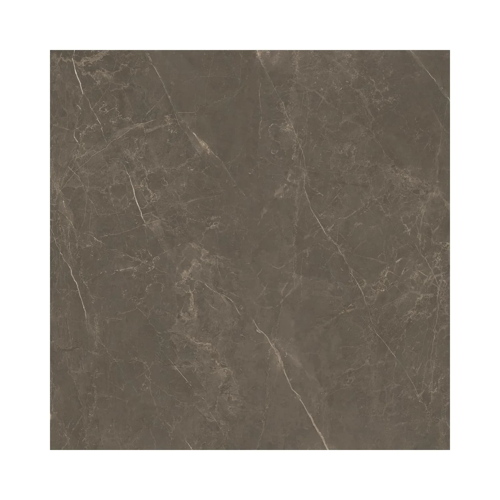 Porcelanato Marrom Natural 120x120 Portinari Castellon RET "C"